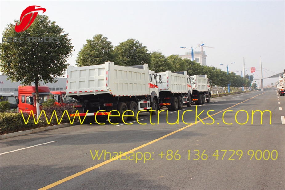 beiben 10 wheeler tipper cargo truck supplier