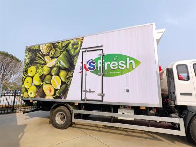 Howo light-duty 5tons freezer van